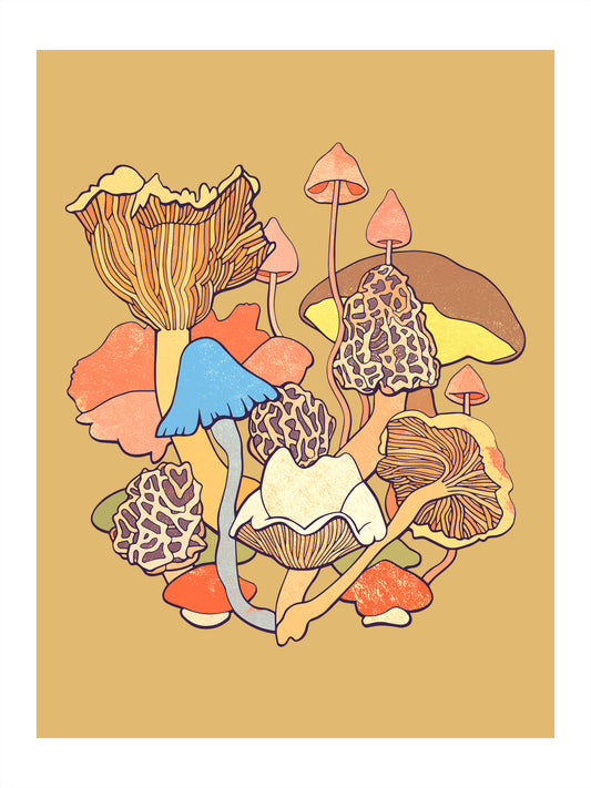 MIJITA MUSHROOMS